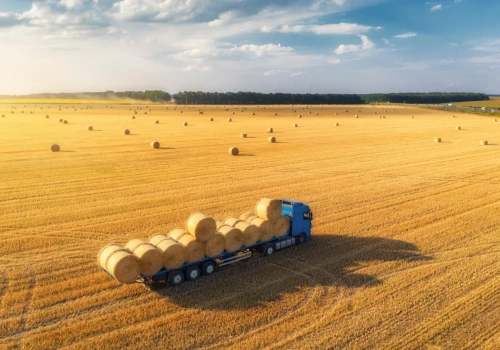 Ukraina w UE już w 2027 r. – z dopłatami i zakazanymi pestycydami?