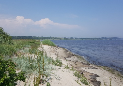 Społecznicy apelują o ratunek dla Zatoki Puckiej