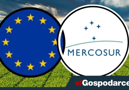 Hodowcy boją się umowy z Mercosur