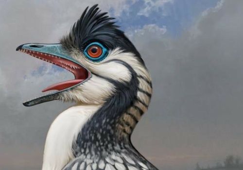 Robią wiele, by odkryć tajemnicę tego zwierzęcia. Jest nowy pomysł