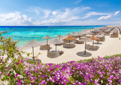 Egipt all inclusive na wakacje 🌊☀️ 7 nocy w 4* Shams Safaga za 2222 PLN