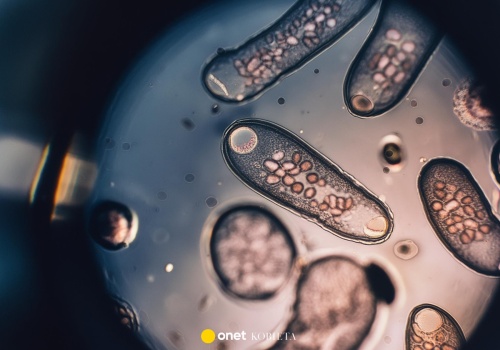 Nietypowe objawy zakażenia pasożytami. Lekarz wyjaśnia, na co zwrócić uwagę