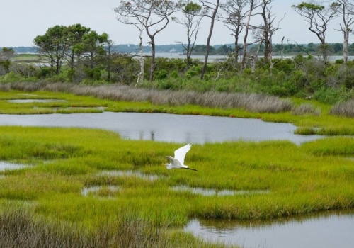 Zagadka metanu. Dlaczego w czasie pandemii jego poziom w atmosferze gwałtownie wzrósł?