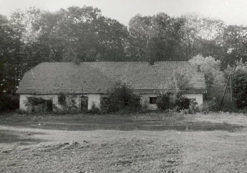 Jego dziadek kupił majątek, a on zagrał w ponad 100 filmach