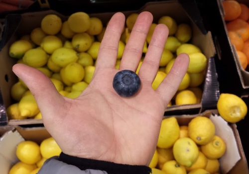 Dobra w cukrzycy, świetna dla wątroby. Dziś w dyskoncie w promocji