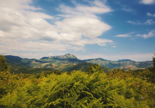 Budowa serbskiej linii kolejowej doprowadziła do odkrycia osady, o której historycy nie mieli pojęcia
