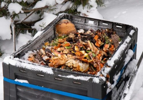 Wlej to do kompostownika zimą. Wiosną będziesz mieć czarną ziemię zamiast odpadów