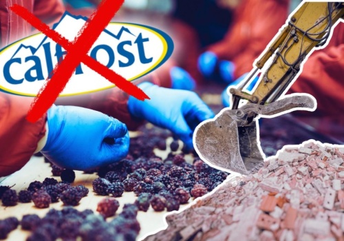 Ukraiński gigant w Kaliszu upadł. Po zwolnieniach wjechały buldożery