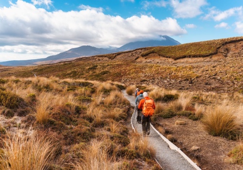 Przygoda życia! 😍 Odwiedź Kalifornię 🏄 i ruszaj na antypody 🌿 Los Angeles i Auckland w jednej podróży za 3766 PLN ✈️