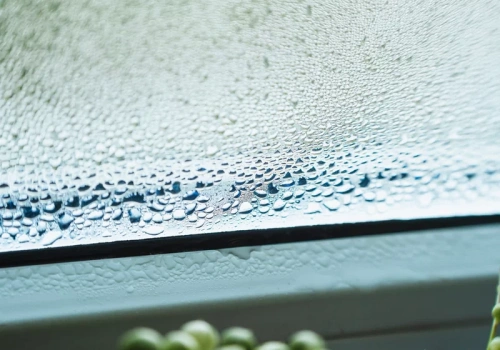 Wilgoć w mieszkaniu zimą? 9 trików, które w 24 godziny ograniczą parowanie okien i pleśń