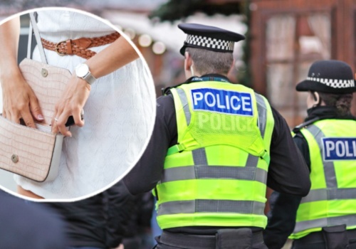 Sprzątała domy bogaczy. Po latach przyznała się, co zrobiła