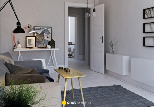 Po tym poznasz mieszkanie milenialsa. Dla pokolenia Z to lekki obciach