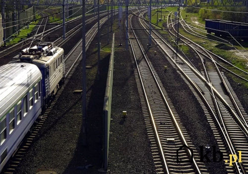 Zarobki 8000 zł i duży pakiet benefitów. Ta formacja rekrutuje cały rok