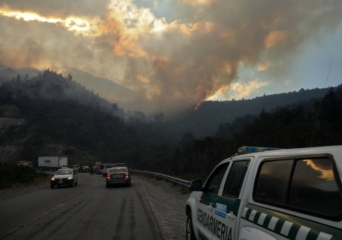 Pożar zniszczył jedne z najstarszych drzew świata. „Rosły przez tysiące lat”