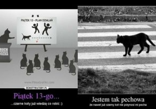 Dziś pechowy piątek trzynastego. Te memy ROZBAWIĄ nawet przesądnych