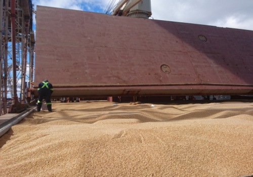 Ceny zbóż i oleistych odzwierciedlają sytuację na rynku. Trwa strategia bieżącego zaopatrzenia