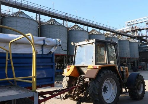 Polska pszenica zbyt droga na eksport. Rośnie presja na magazyny i portfel!