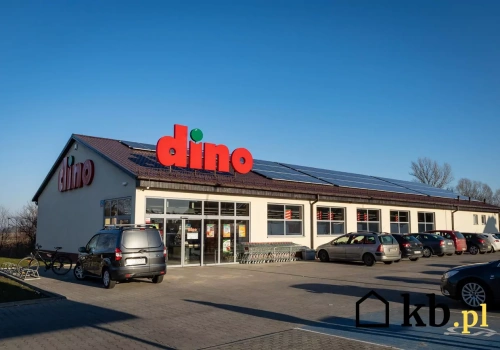 Pobudzający klasyk w niższej cenie - w Dino ludzie wykupują tę kawę z półek