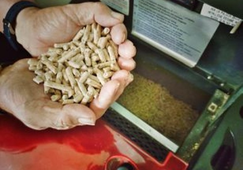 Stracił 20 tys. zł. Tak Polacy są oszukiwani na pellecie