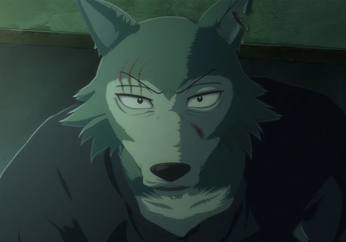 Finał Beastars coraz bliżej. Zakończenie historii poznamy w marcu