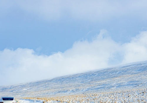 Ostrzeżenie dla Arktyki. Czeka ją inwazja aż 2 tys. gatunków