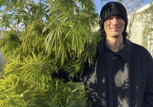 Kombinat Konopny z dodatnią EBITDA w IV kwartale 2025 r. i planem debiutu na NewConnect