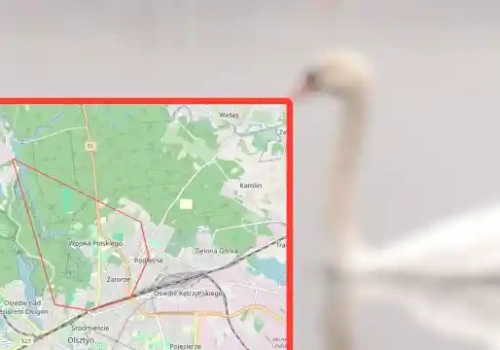 Wyznaczono 1-kilometrową strefę zakażenia wirusem H5N1 przy ul. Radiowej