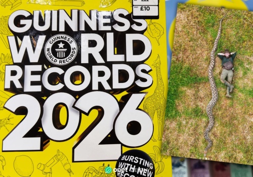 To najdłuższy wąż na świecie. Trafił do Księgi Rekordów Guinnessa 2026