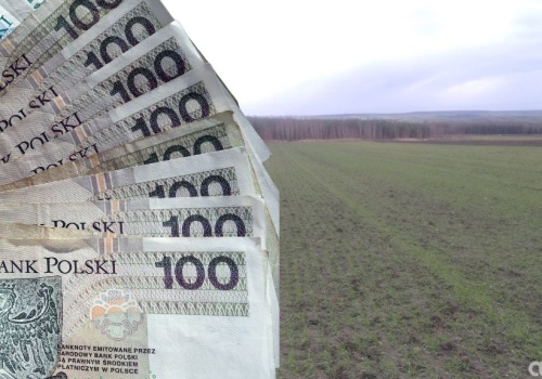 Dopłaty bezpośrednie 2025: 15,81 mld zł już wypłacone