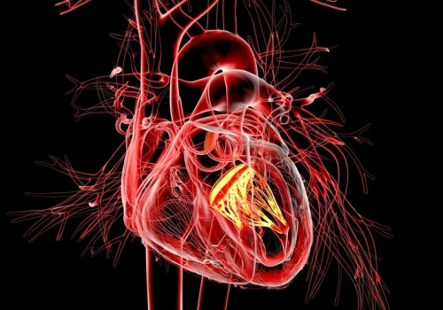 Wady zastawek serca. Jakie są objawy? Kardiolodzy: Nie można ich bagatelizować!