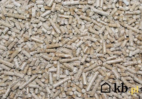 Jedni grzeją żwirkiem dla kota, inni kukurydzą i zbożem. Tak Polacy walczą z drogim pelletem