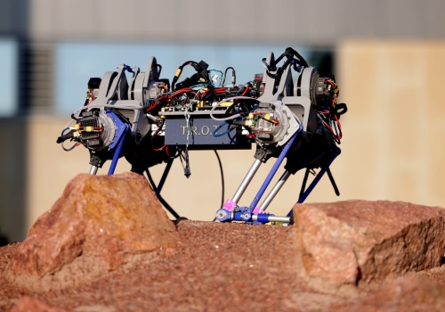 Robot TROT. Maszyna za 4 tysiące dolarów pozwala nam zrozumieć miliony lat ewolucji