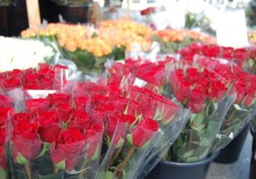 Nie kupuj tych kwiatów na walentynki. Przynoszą pecha