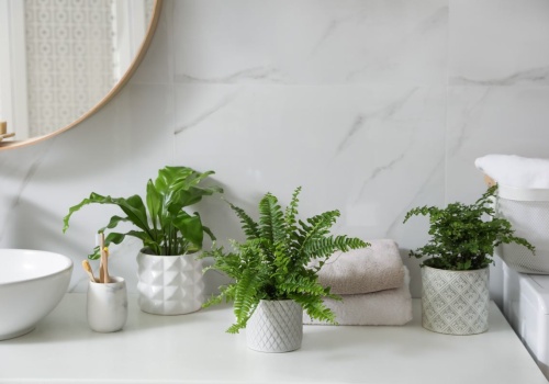 Stwórz w łazience małą dżunglę. Te rośliny chłoną wilgoć jak gąbka