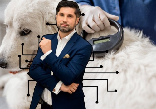 Afera schroniskowa nakręca ten rynek. 