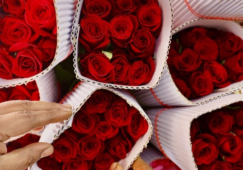 Czy Twoja miłość to tylko trik natury? Sprawdź, co mówi ekspert