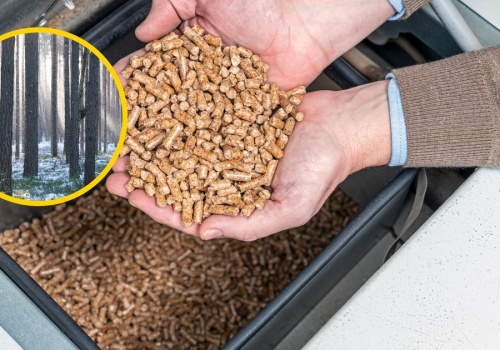 Kryzys na rynku pelletu. Co powinno zrobić państwo?