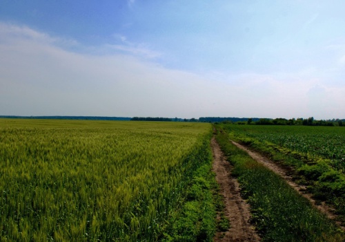 Duże gospodarstwo do dzierżawy z KOWR na Dolnym Śląsku. Ponad 190 hektarów