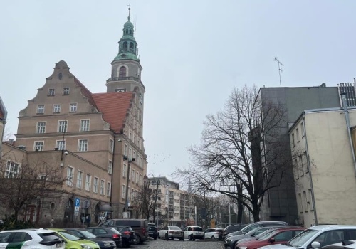 Lasek Pieczewski do wycinki pod zabudowę? Fatalne oświadczenie Ratusza