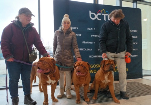 2,5 tysiąca psów w Myślęcinku. W Bydgoskim Centrum Targowo-Wystawienniczym trwa Międzynarodowa Wystawa