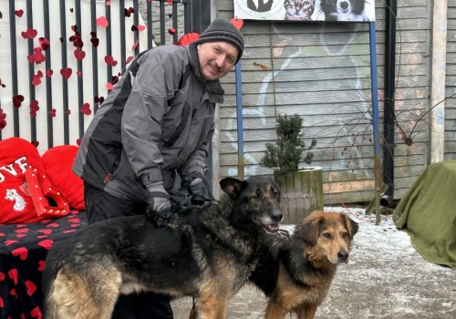 SpaceroweLOVE w konińskim schronisku. Kolejka chętnych do pomocy