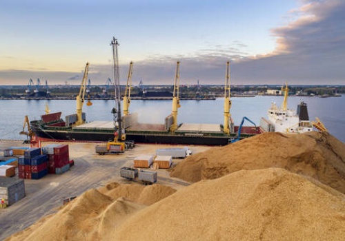 Marcin Wroński: W rządzie nieróbstwo, a rolnik gotuje się z towarem w magazynie