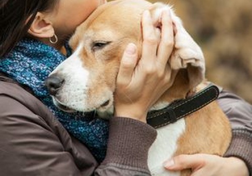Najgorszy gest w stronę psa. Nie lubi tego