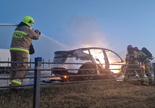 Pożary elektryków w 2025 roku. ‘Marginalna część’