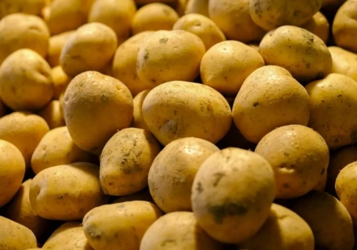 Ziemniaki z Holandii tanieją na Broniszach. Ceny odmian różnią się nawet o 100%