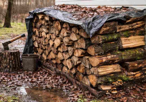 Najgorsze miejsce do trzymania drewna na opał. Polacy wciąż popełniają ten błąd