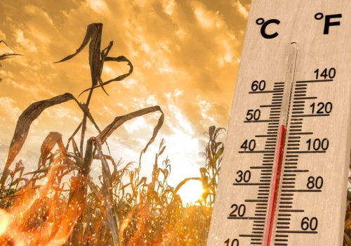 Takie będzie lato 2026. Meteorolodzy odsłaniają karty