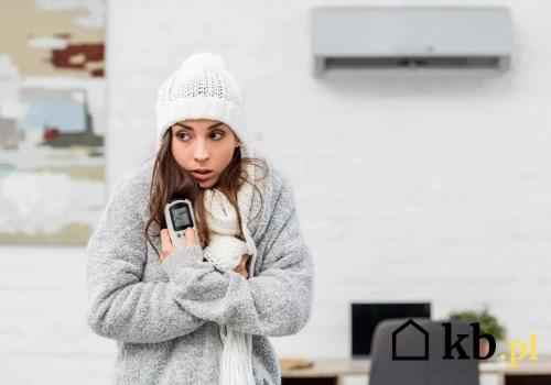 Zaczęła ogrzewać dom klimatyzatorem. Rachunki za prąd ją zaskoczyły