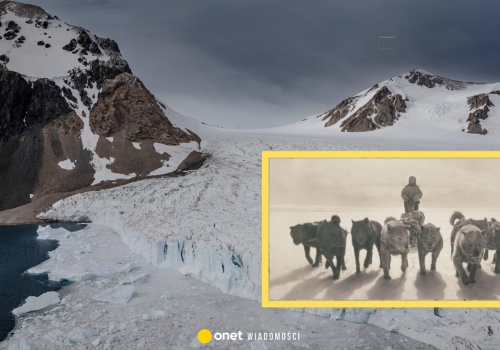Dlaczego psy zniknęły z Antarktydy? Zmiana po niemal stu latach