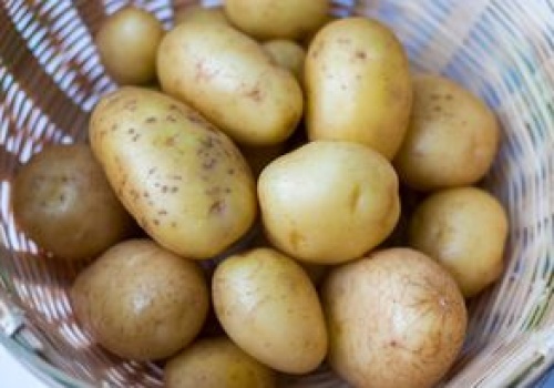 Jak dobrze umyć ziemniaki? Większość Polaków popełnia błąd